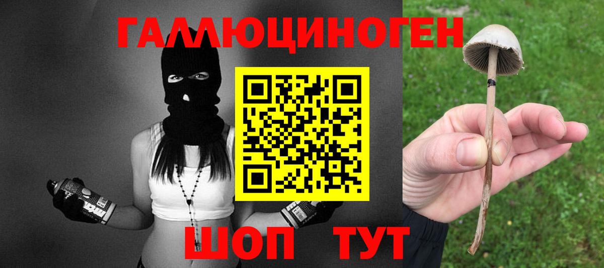 Сергиев Посад  закладки  Вход с VPN  Галлюциногенные грибы MAGIC MUSHROOMS 